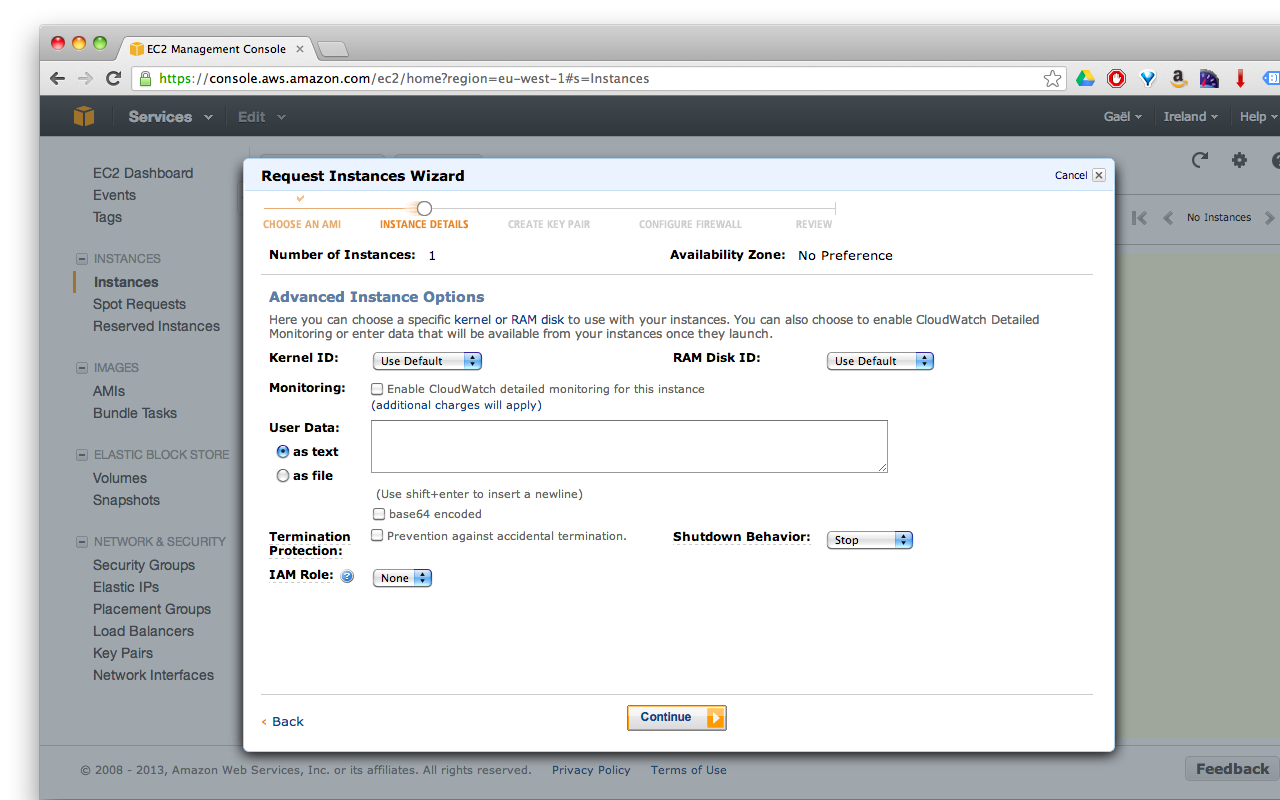Aws ec2 console advanced instance options