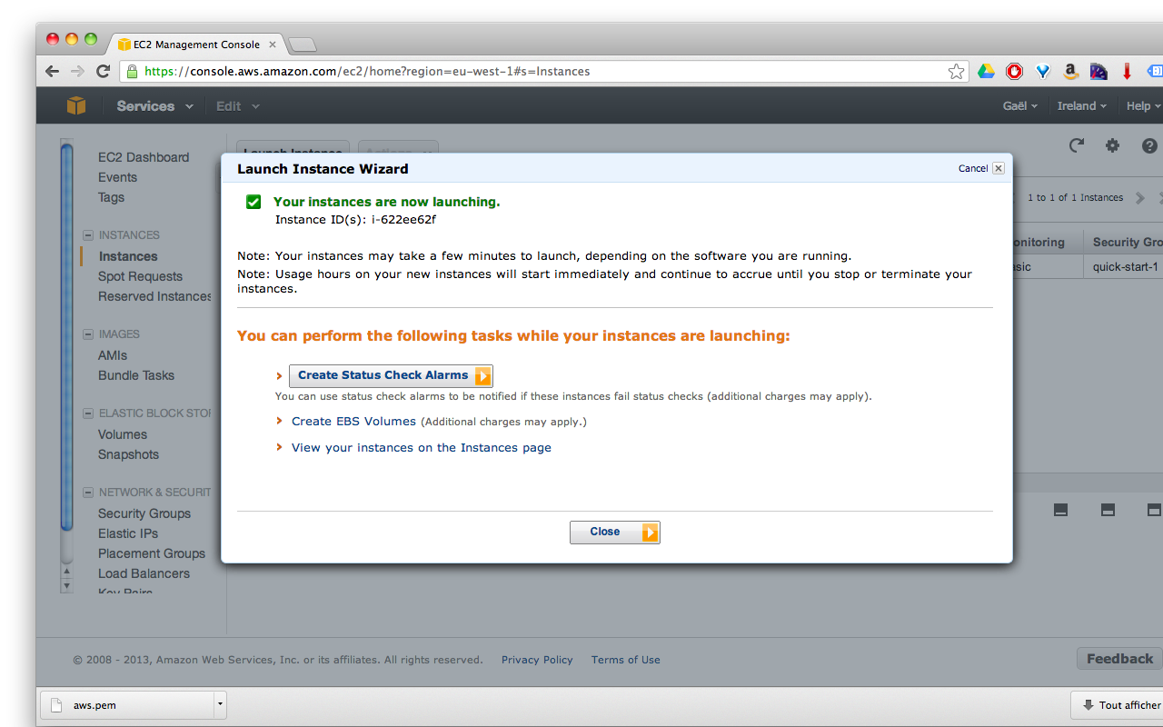 aws ec2 console your instances are now launching